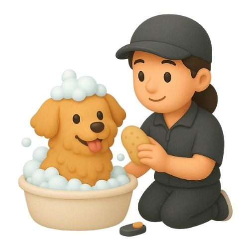 Pet Care Person